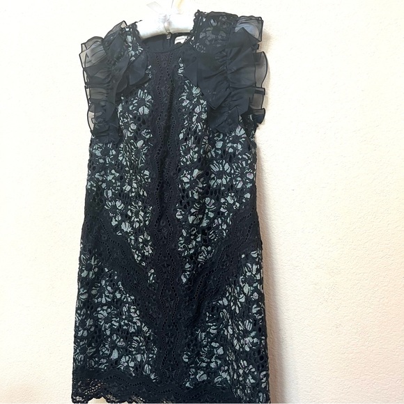 Rebecca Taylor NWOT SILK Sleeveless Floral Embroidery Ruffle Mini Dress B17/20 - Picture 5 of 16